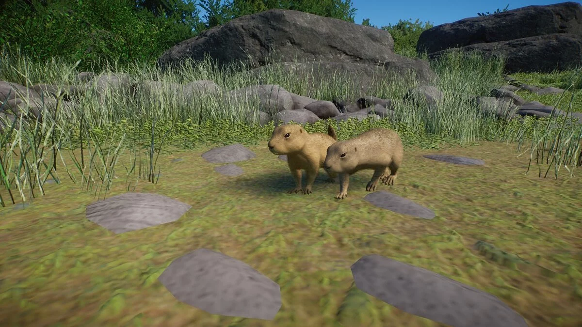 Planet Zoo — Європейський ховрах - новий вид