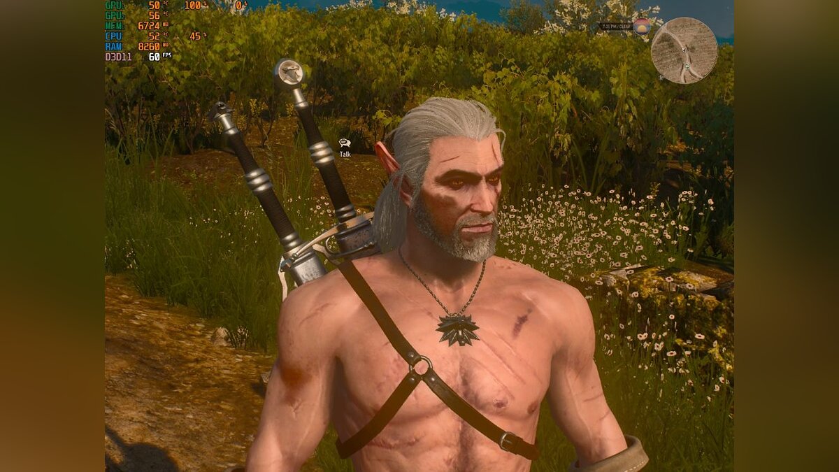 The Witcher 3: Wild Hunt - Complete Edition — Geralt - elf