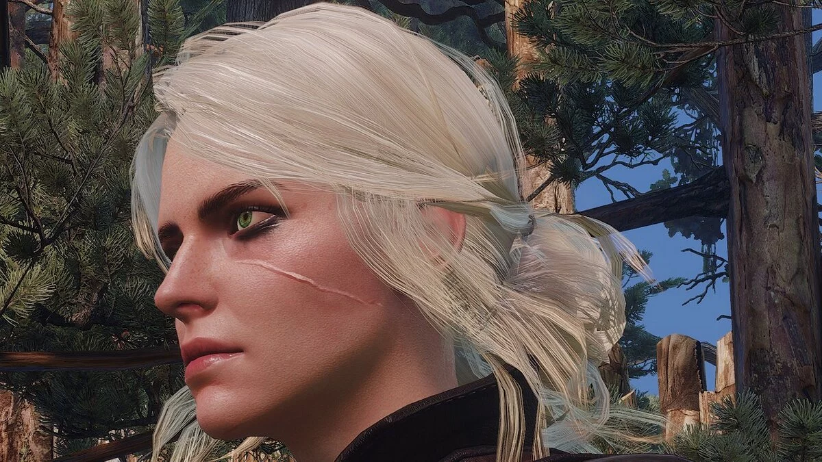 The Witcher 3: Wild Hunt - Complete Edition — La cicatriz correcta de Ciri.