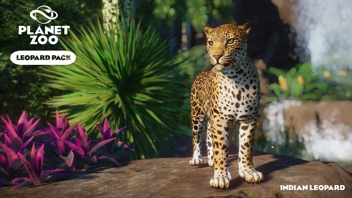 Planet Zoo — Conjunto de leopardos