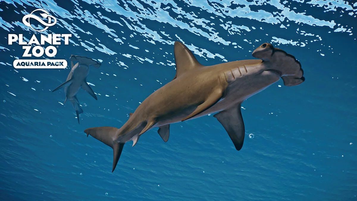 Planet Zoo — Зубчатая акула-молот — новый вид