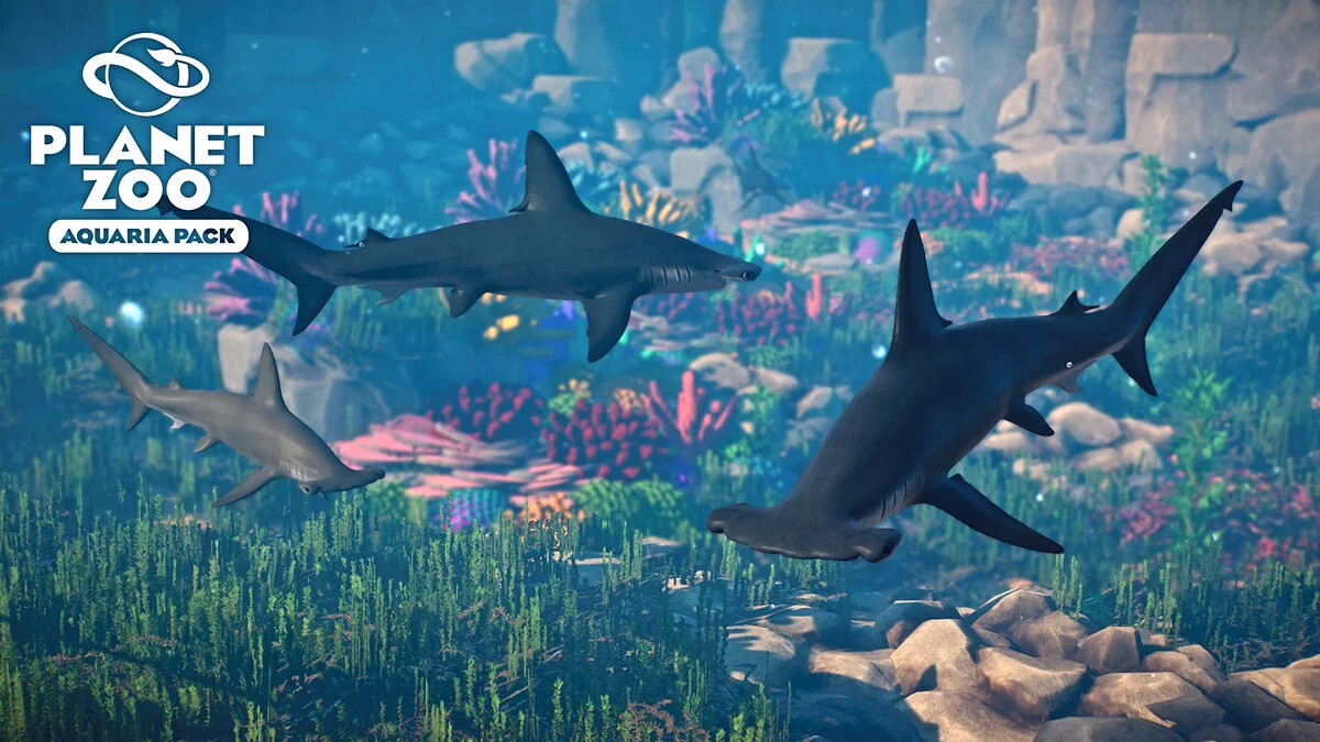 Planet Zoo — Tiburón martillo festoneado: una nueva especie