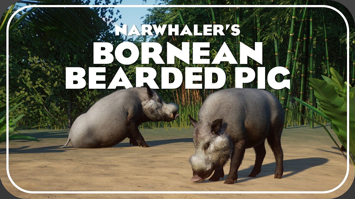 Planet Zoo — Bornean bearded pig - a new species