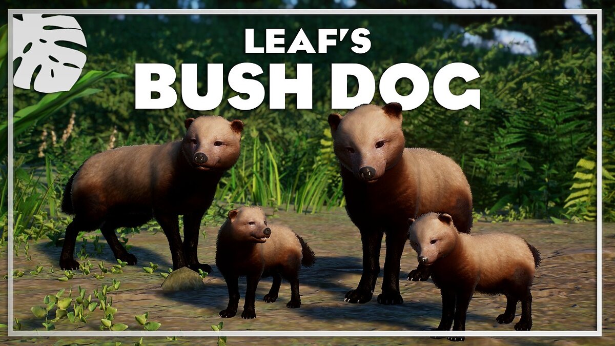 Planet Zoo — Bush dog - a new species