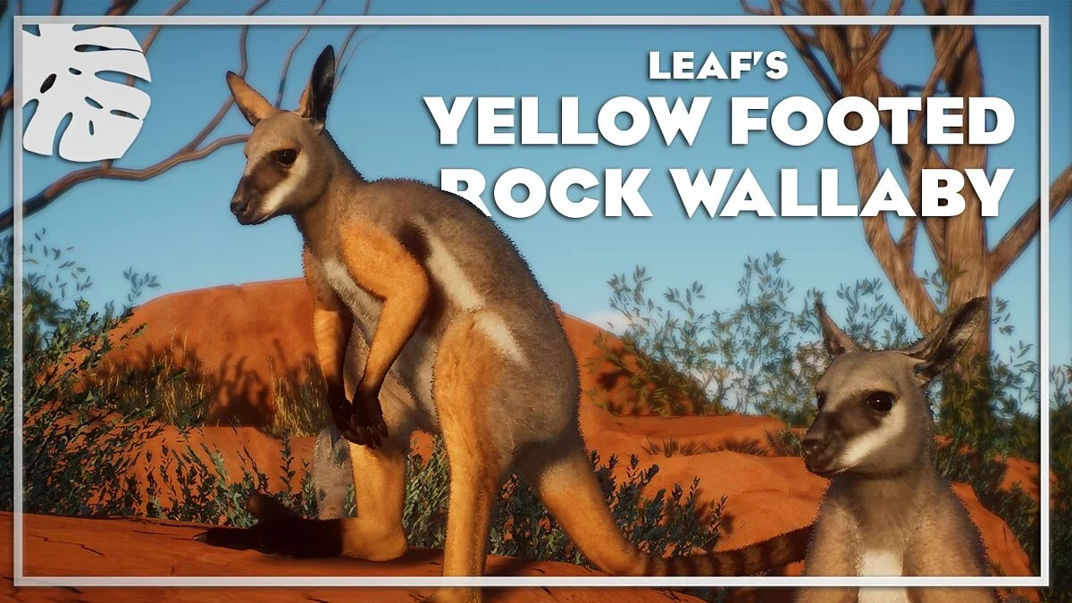 Planet Zoo — Yellow-footed rock wallaby - a new species