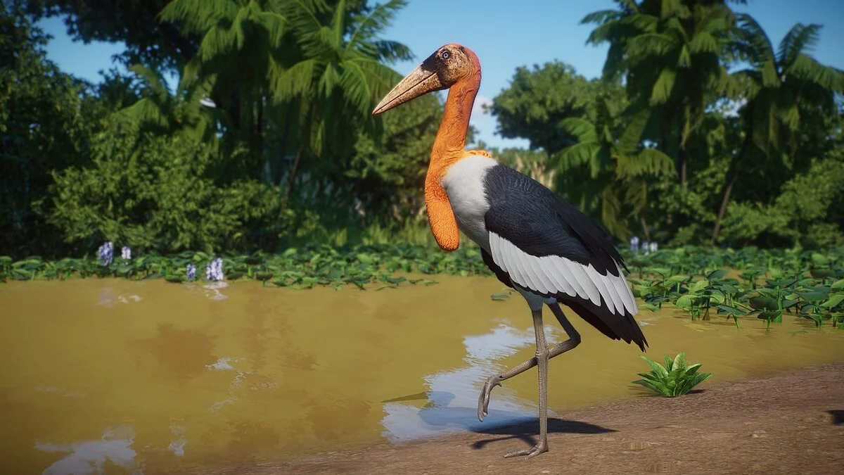 Planet Zoo — New Species - Senior Adjutant