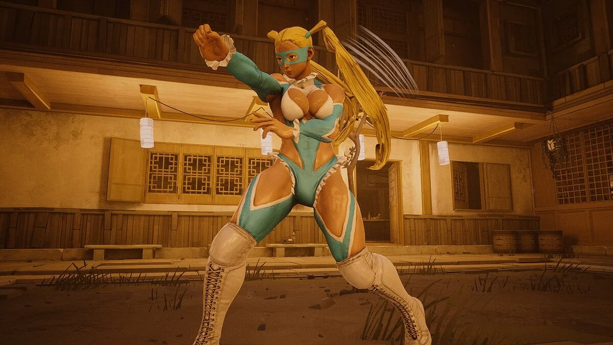 Sifu — Street Fighter 5 - R. Mika