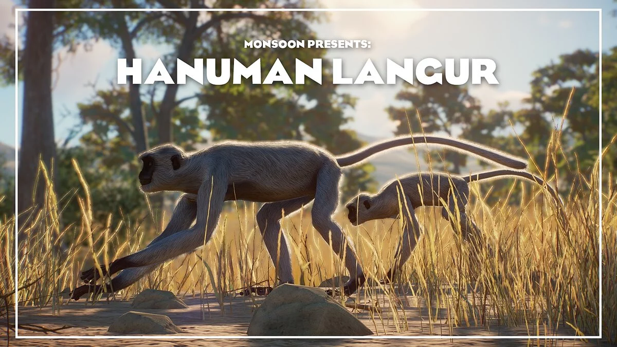 Planet Zoo — A new species is the hanuman langur