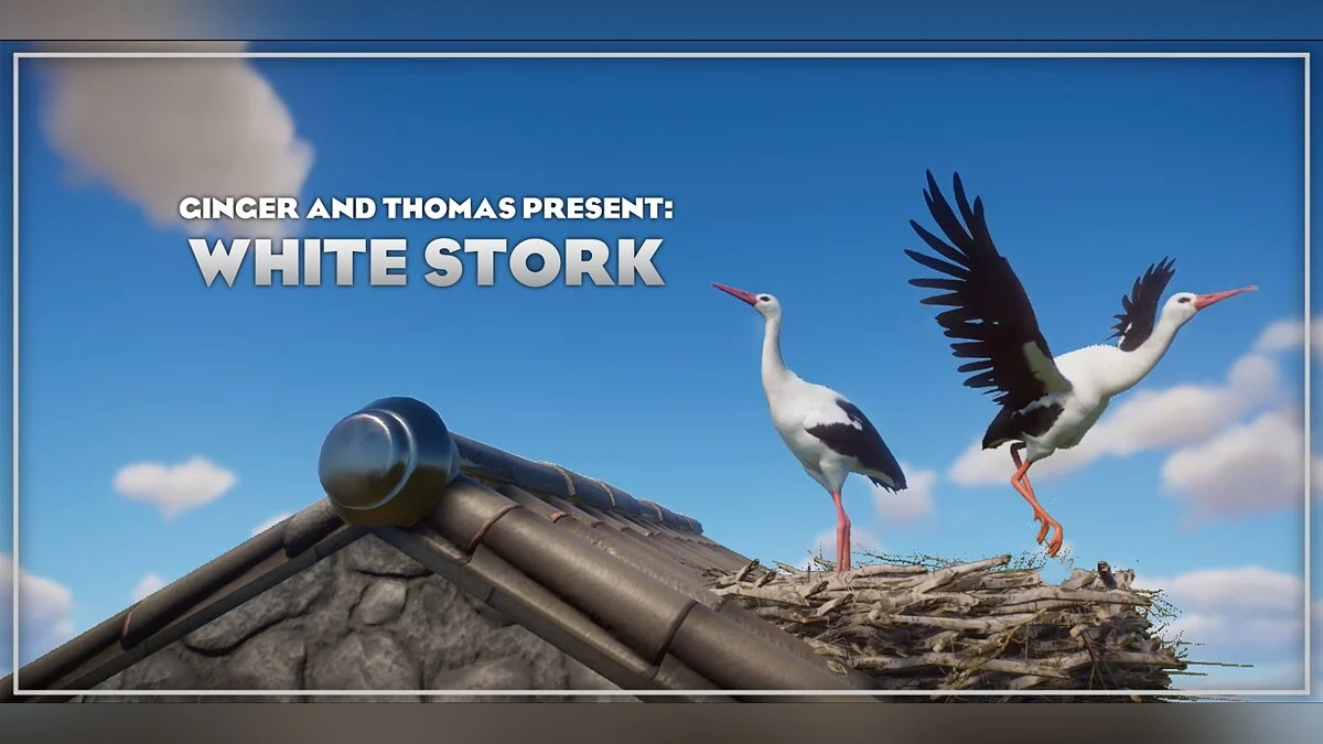 Planet Zoo — New species - white stork