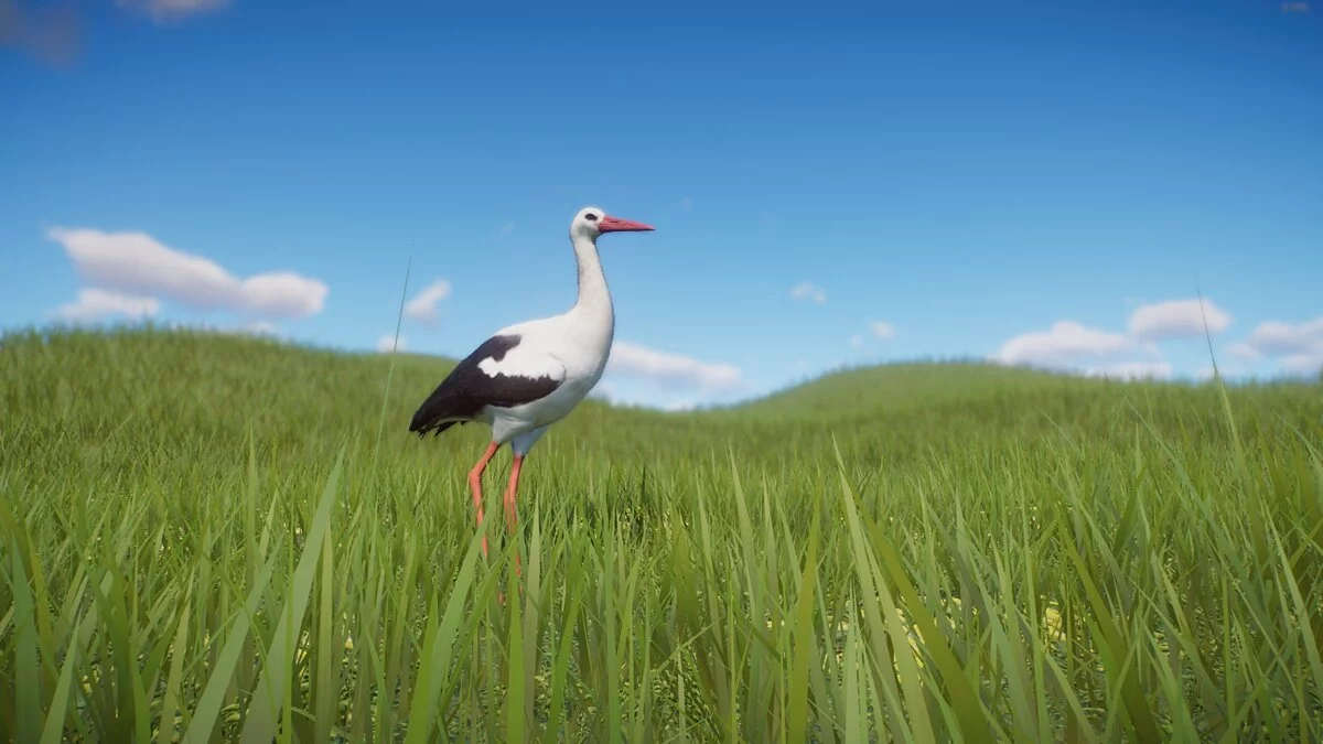 Planet Zoo — Новий вид - білий лелека