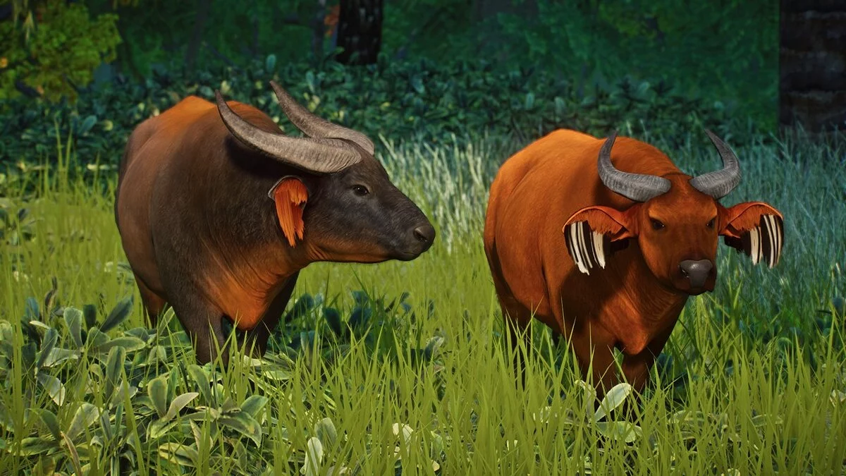 Planet Zoo — Búfalo de bosque africano: una nueva especie