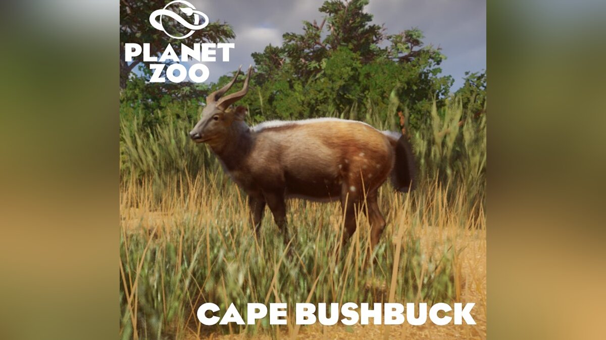 Planet Zoo — Cape Bushbuck - new species