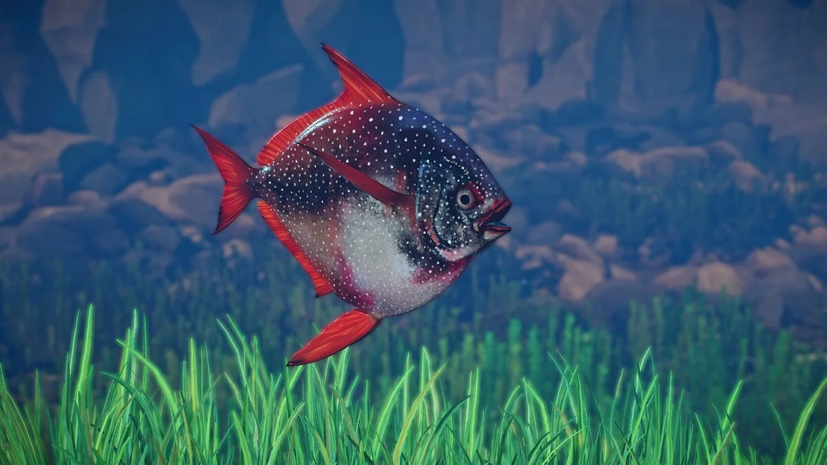 Planet Zoo — Atlantic opah - new species