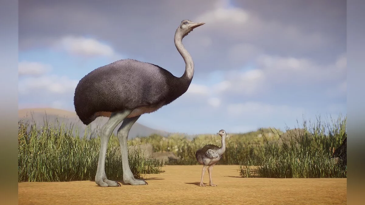 Planet Zoo — Велика рея – нові види