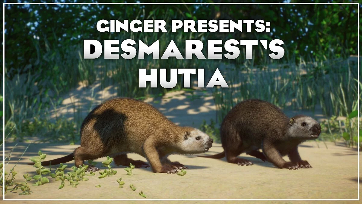 Planet Zoo — New species - Hutia Desmartesta