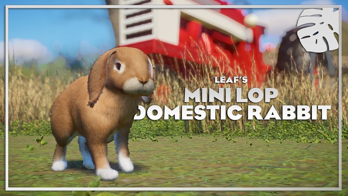 Planet Zoo — Domestic Rabbit - New Species