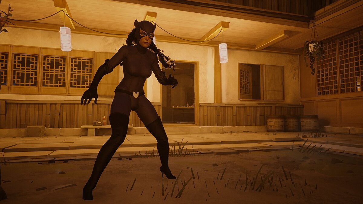 Sifu — Catwoman from the game Batman Arkham Knight