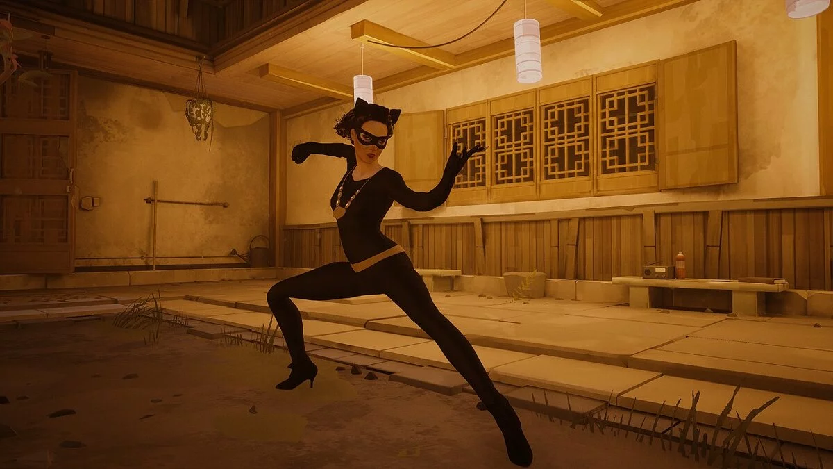 Sifu — 60's Catwoman from Batman Arkham Knight