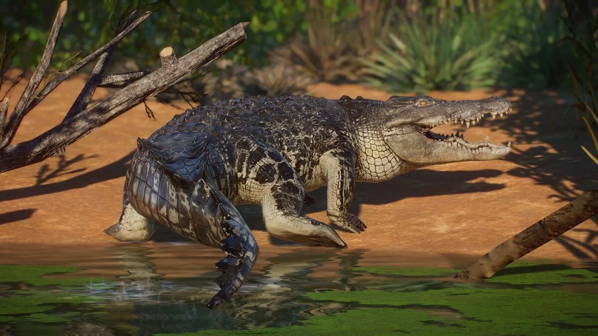 Planet Zoo — Ремастер морського крокодила