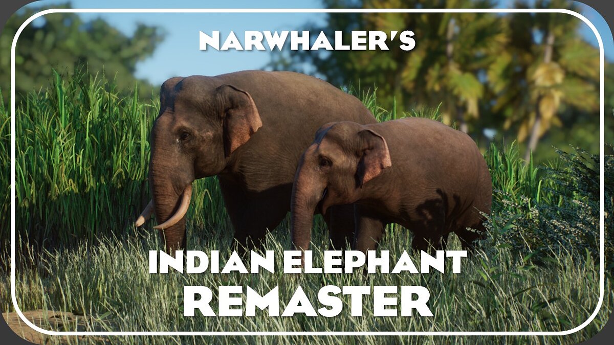 Planet Zoo — Indian elephant remaster