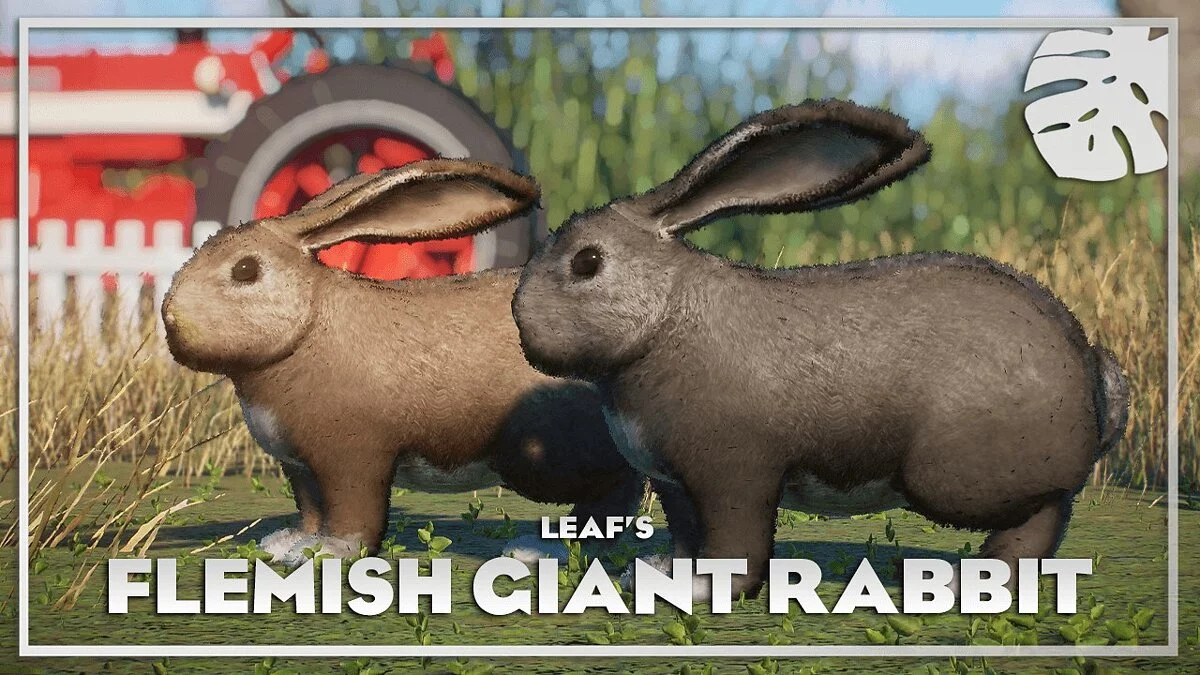 Planet Zoo — Flemish giant - domestic rabbit - new species