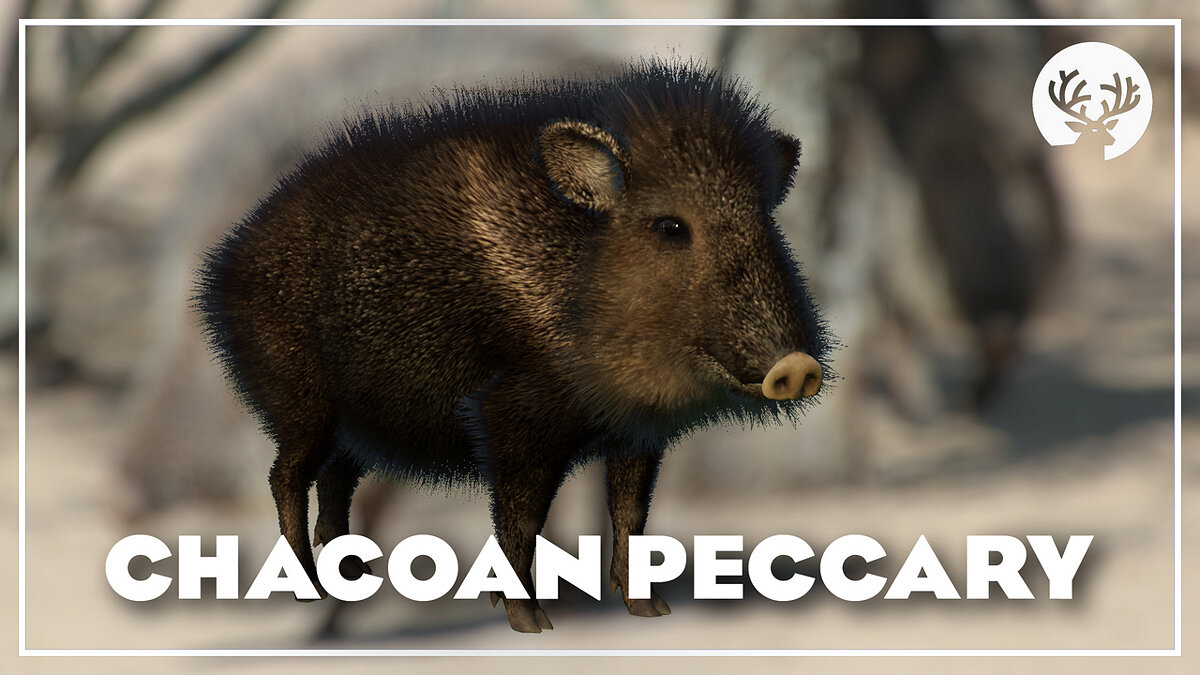 Planet Zoo — Chacoan peccary - new species