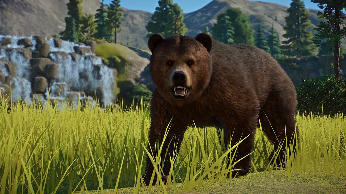 Planet Zoo — Atlas bear - new species