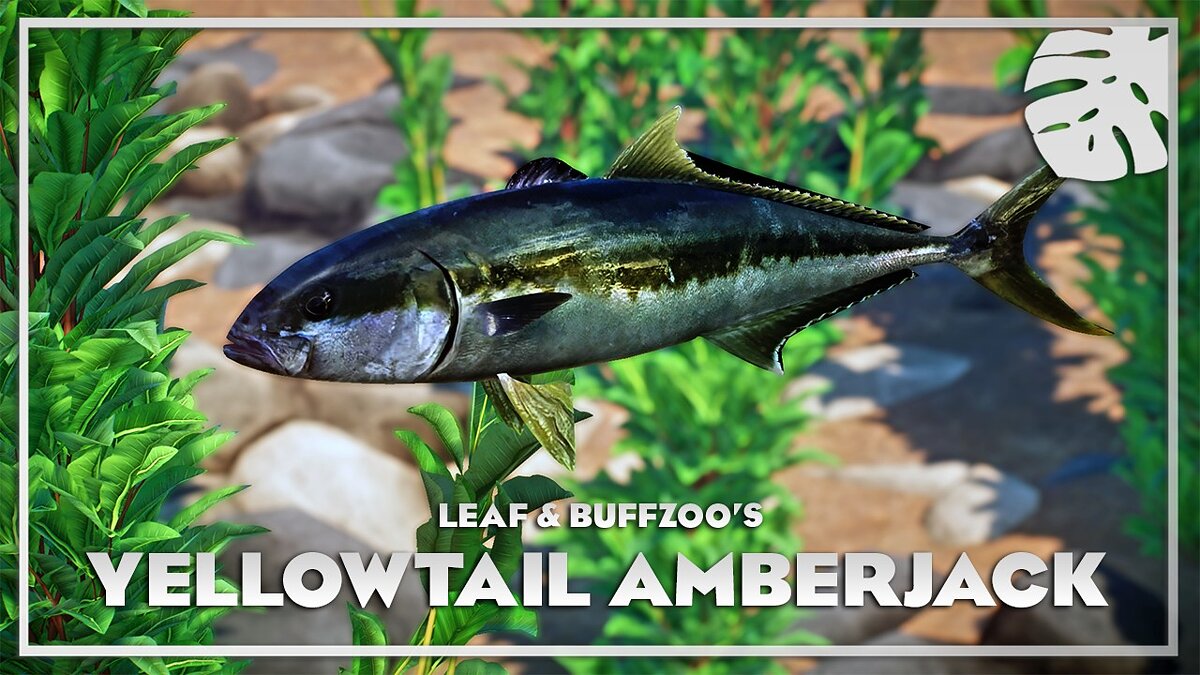 Planet Zoo — Yellowtail amberjack - new species