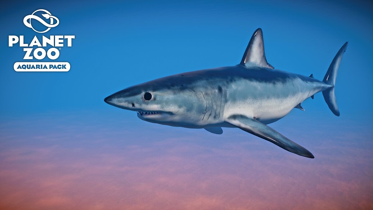 Planet Zoo — Shortfin mako shark - new species