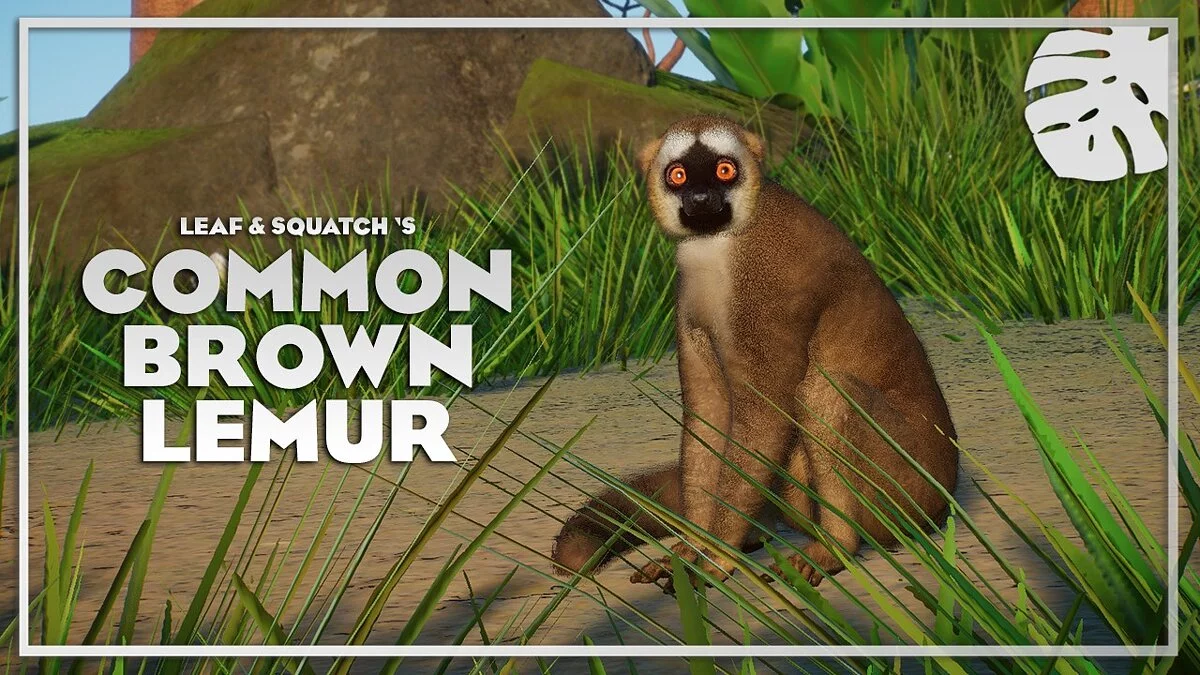 Planet Zoo — Common brown lemur - new species