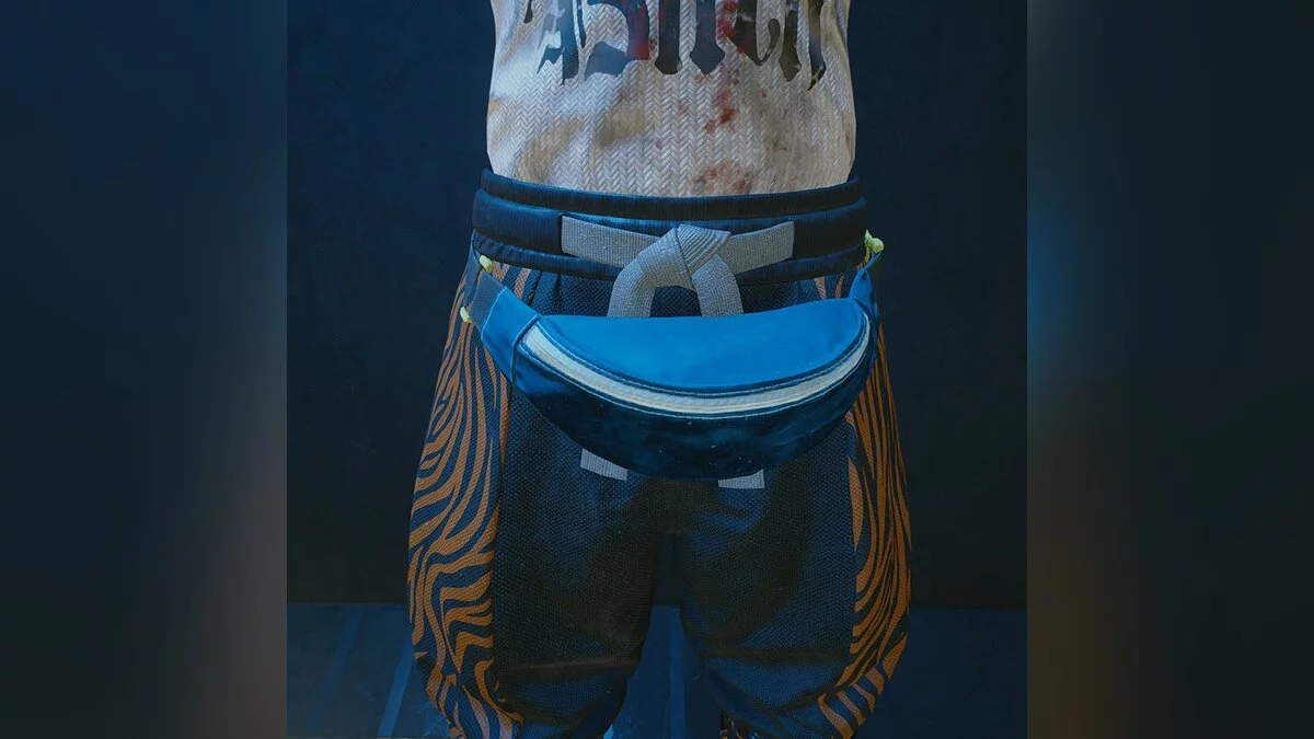 Cyberpunk 2077 — Поясні сумки