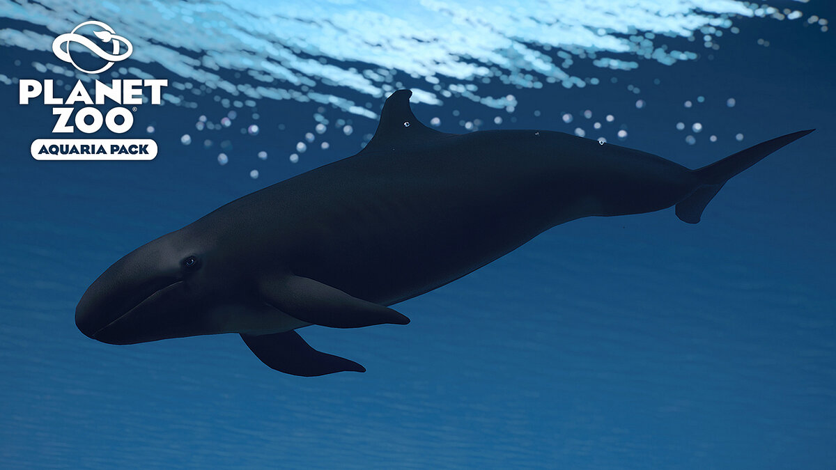 Planet Zoo — False killer whale - new species