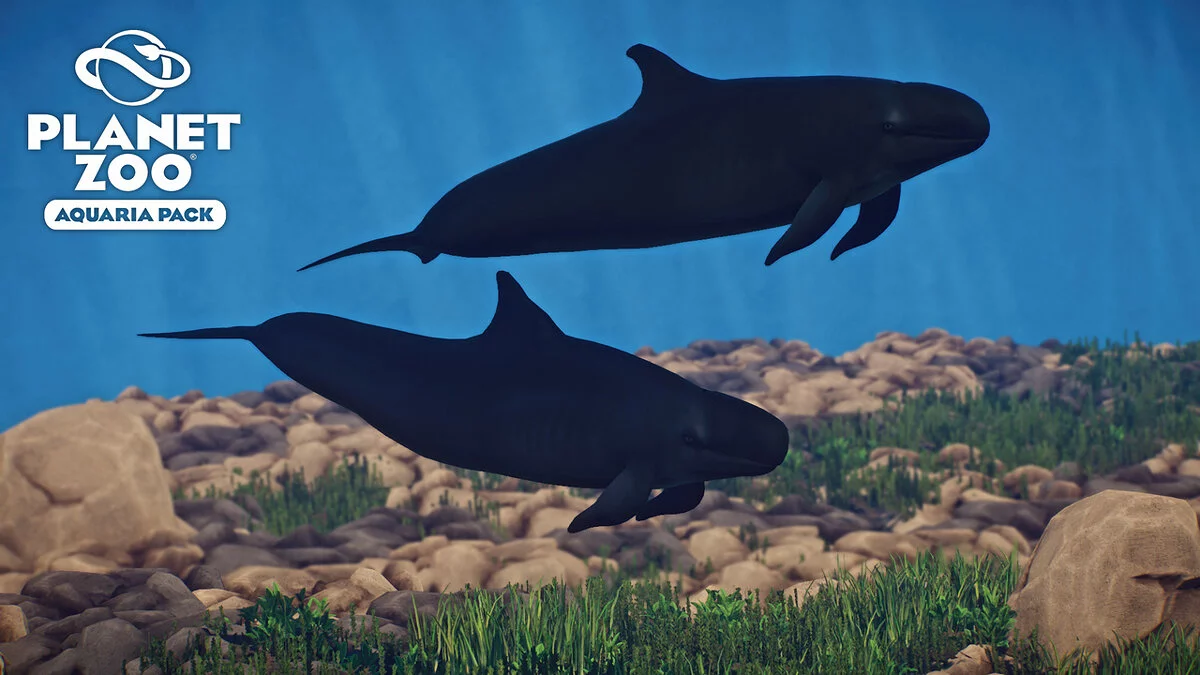 Planet Zoo — Хибна косатка - нові види