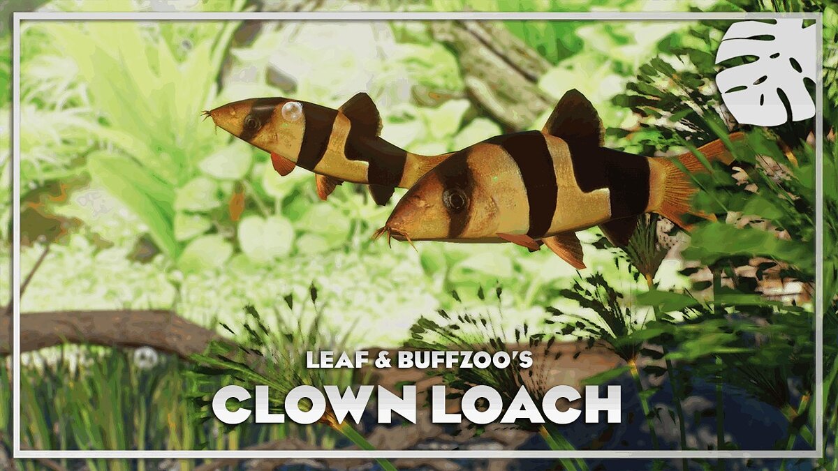 Planet Zoo — Clown Fighter - New Species