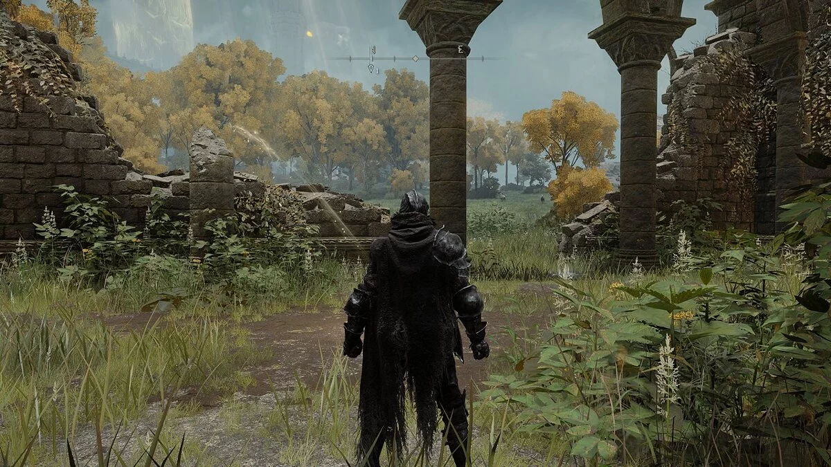 Elden Ring — Черная броня Fingerprint