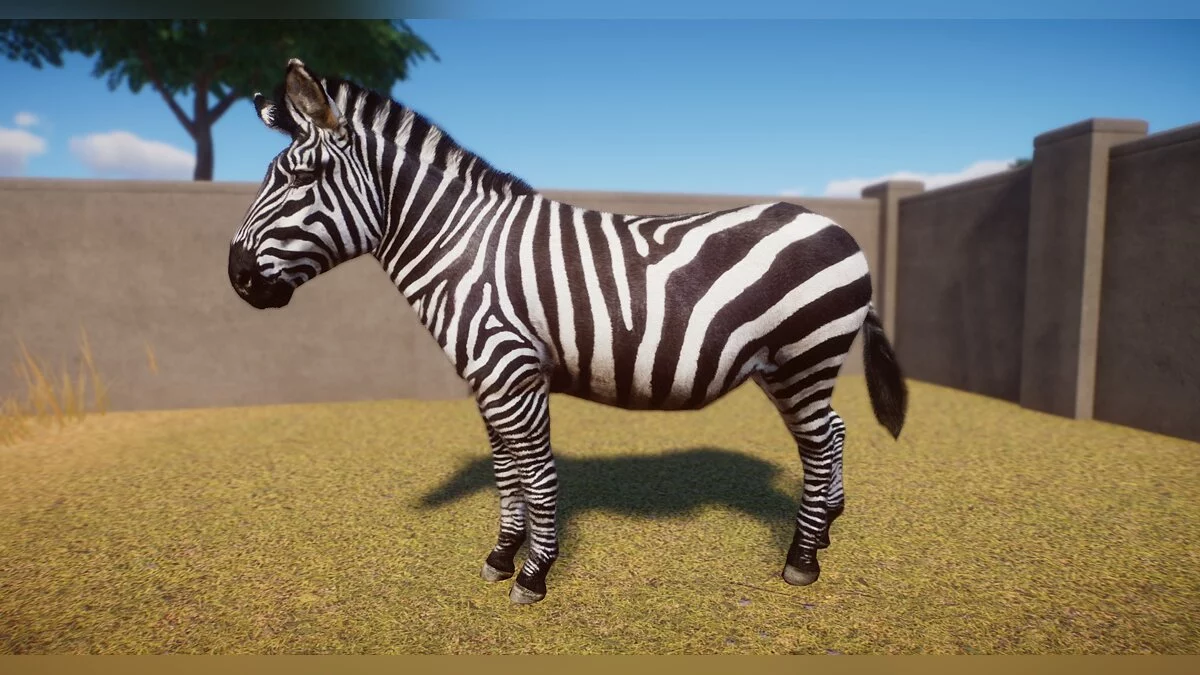 Planet Zoo — Набір нових зебр