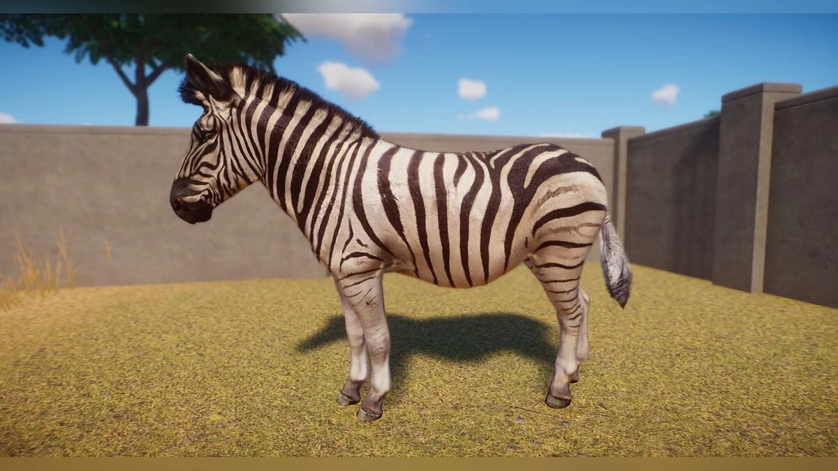 Planet Zoo — Nuevo conjunto de cebra