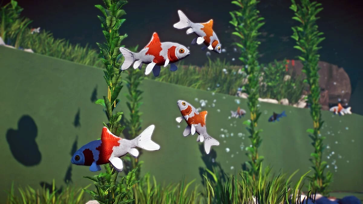Planet Zoo — Звичайна золота рибка – нові види