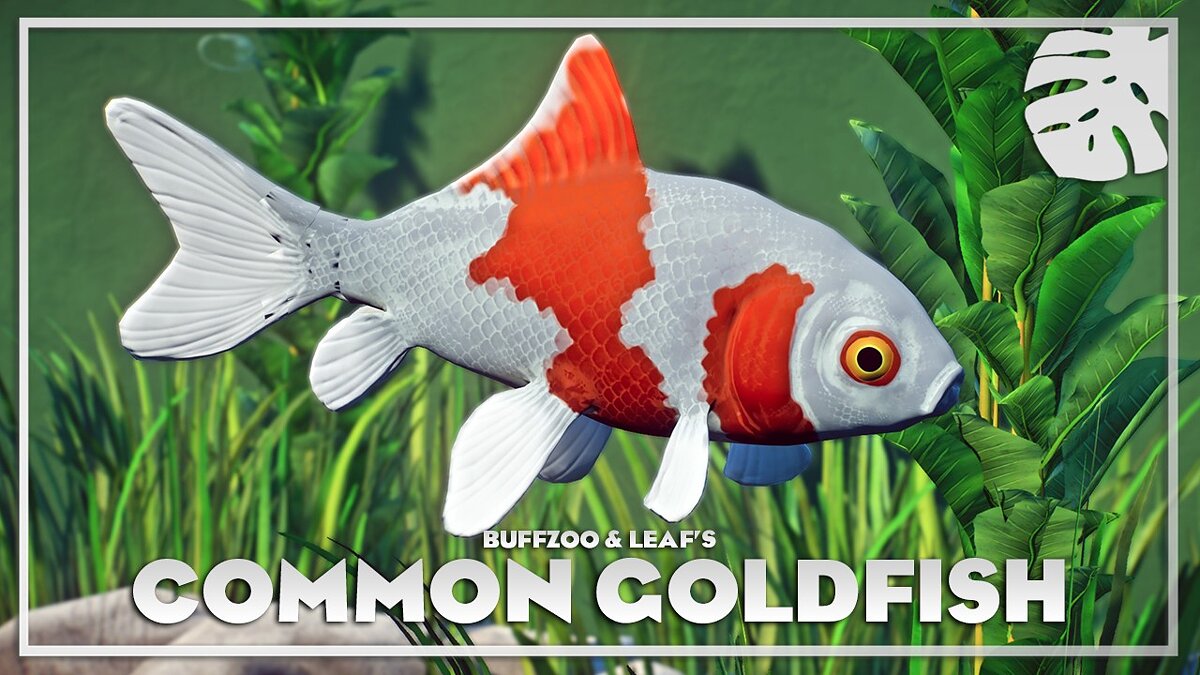 Planet Zoo — Common goldfish - new species