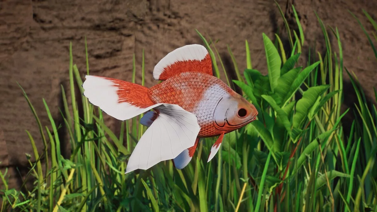 Planet Zoo — Золота рибка Тосакін - нові види