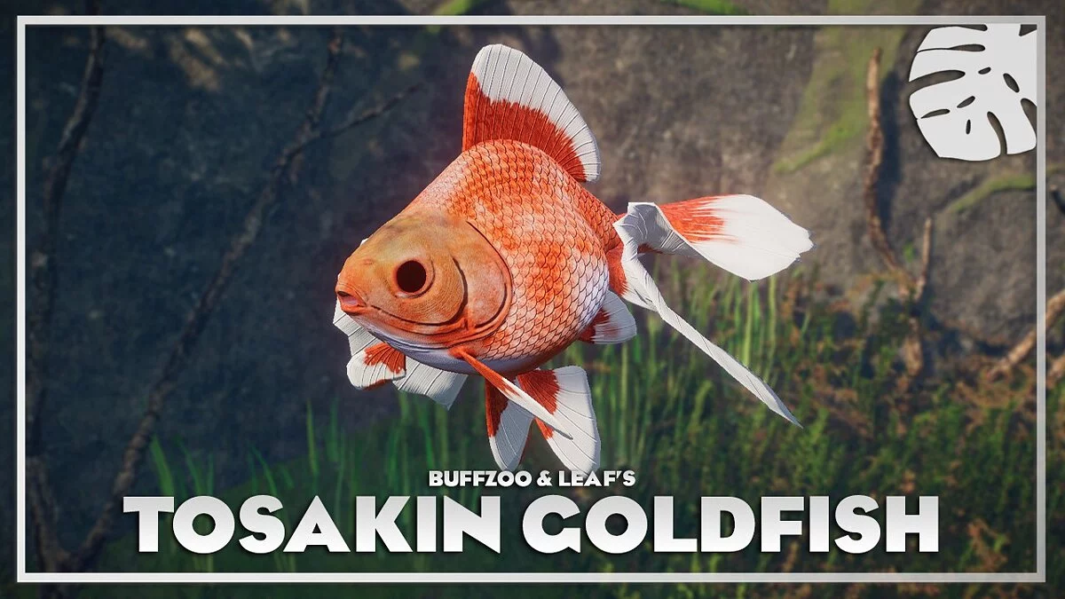 Planet Zoo — Goldfish Tosakin - new species