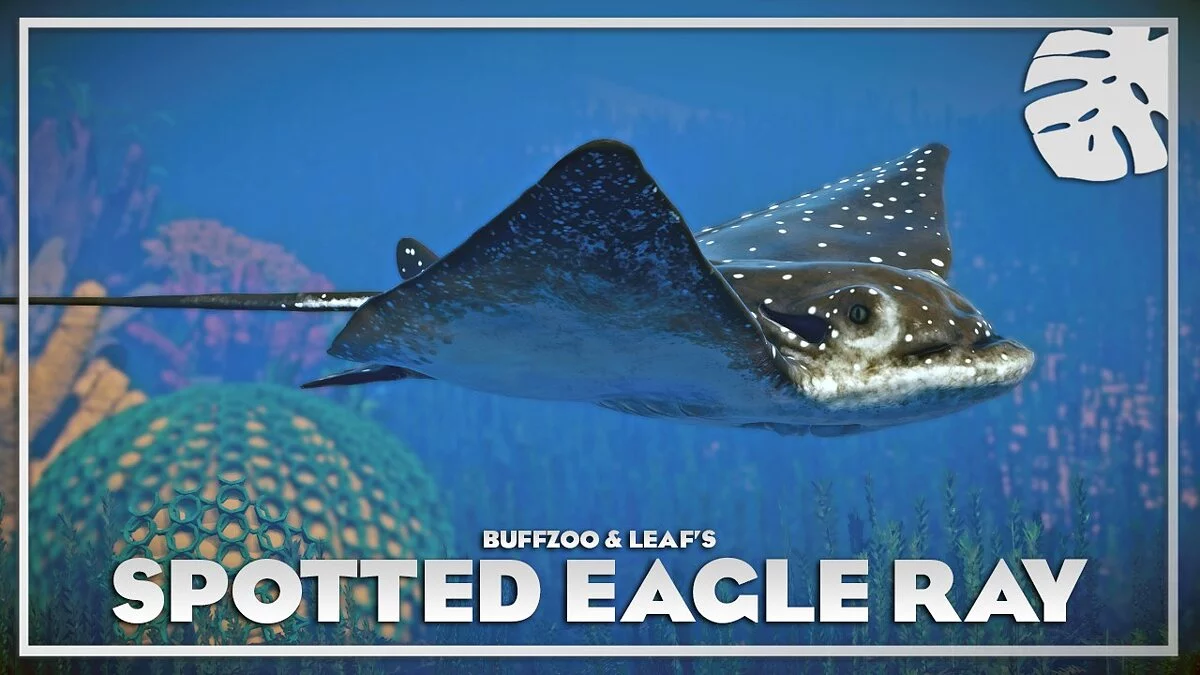 Planet Zoo — Spotted eagle ray - new species