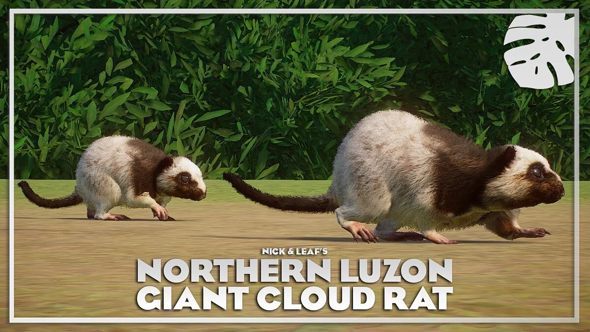 Planet Zoo — Гігантський хмарний щур Північного Лусона - нові види