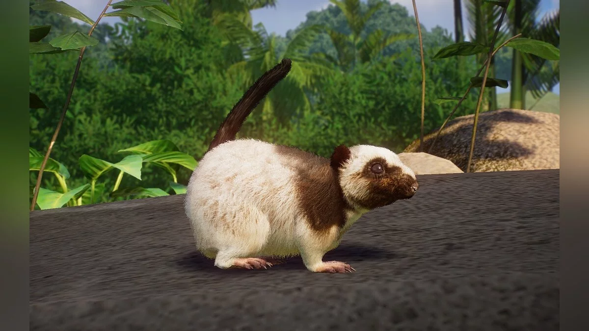 Planet Zoo — Riesenwolkenratte aus Nord-Luzon – neue Art