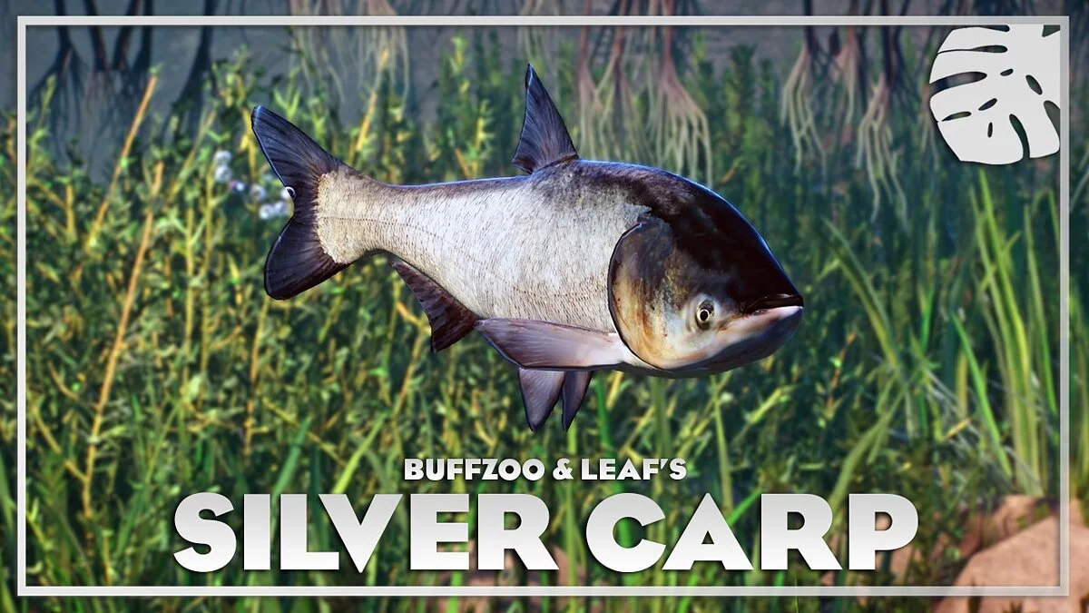 Planet Zoo — Silver carp - new species