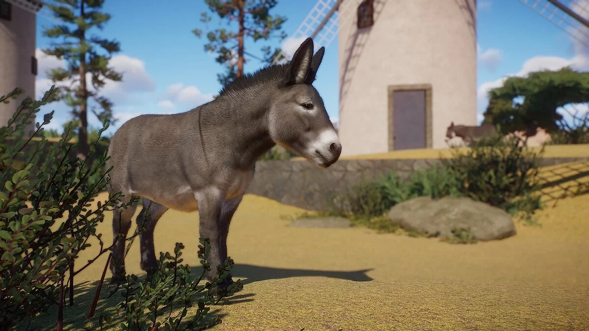 Planet Zoo — Burro estándar norteamericano - nueva especie