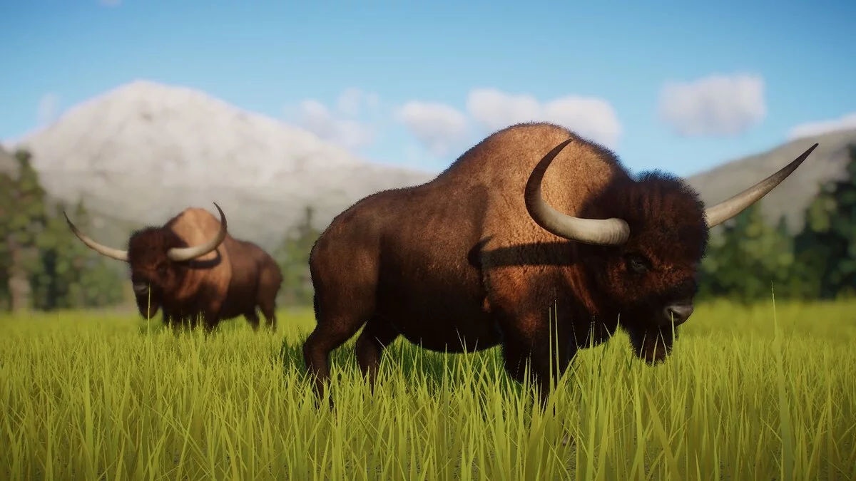 Planet Zoo — Long-horned bison - new species