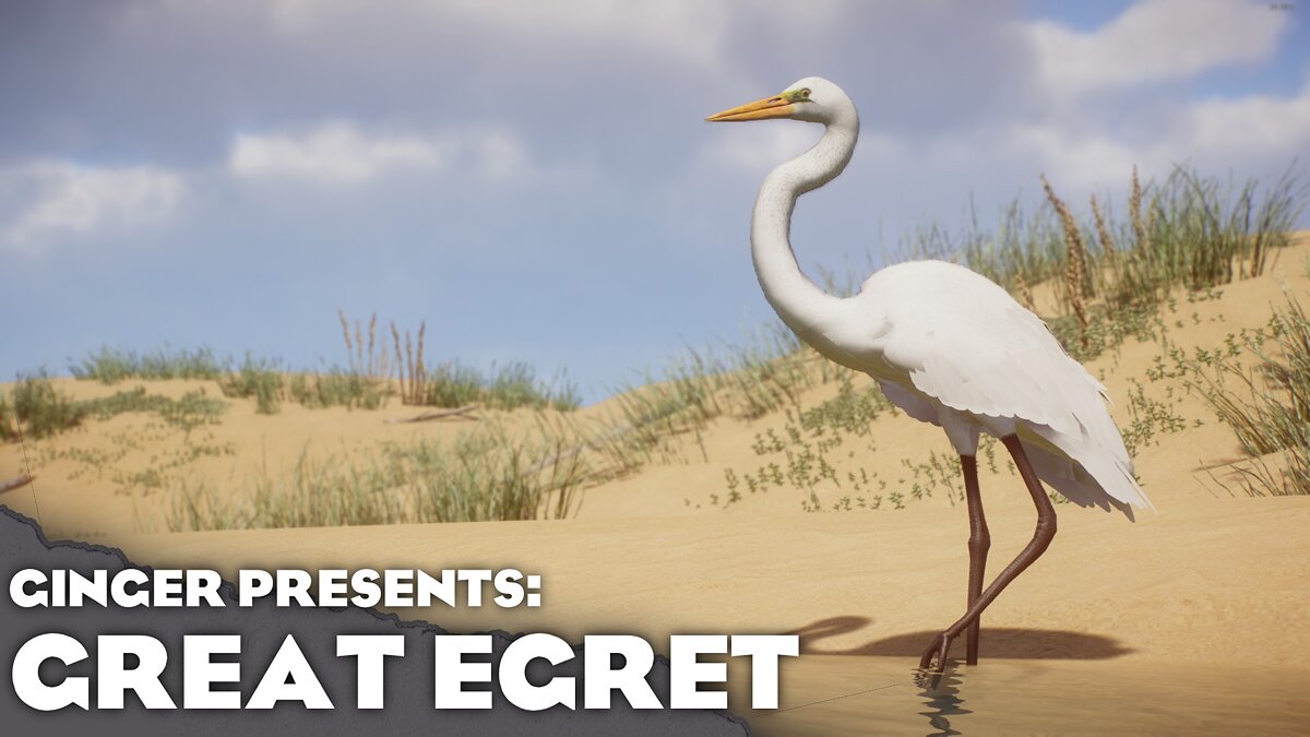 Planet Zoo — New species - great egret