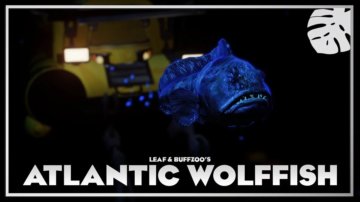 Planet Zoo — Atlantic catfish - new species