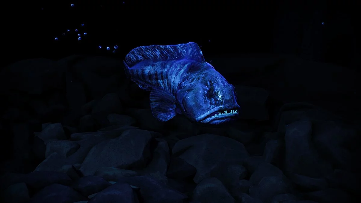 Planet Zoo — Атлантическая зубатка — новые виды